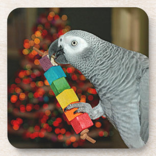 Kongo African Gray Parrot Merry Christmas Tree Getränkeuntersetzer