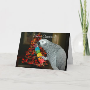 Kongo African Gray Parrot Merry Christmas Tree Karte