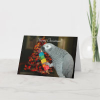 Kongo African Gray Parrot Merry Weihnachtsbaum
