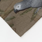 Kongo African Gray Parrot on Floor Fleecedecke (Ecke)