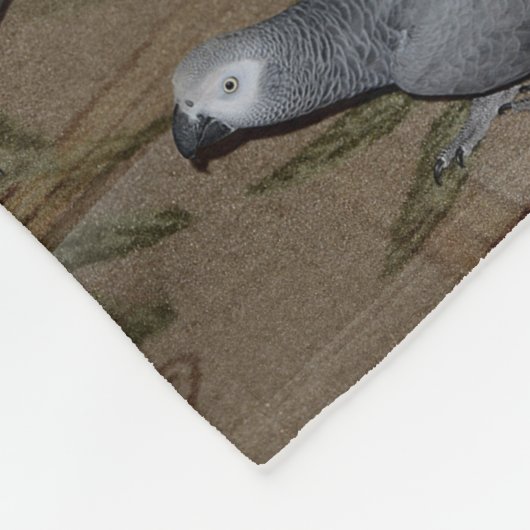 Kongo African Gray Parrot on Floor Fleecedecke (Ecke)