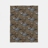 Kongo African Gray Parrot on Floor Fleecedecke (Vorderseite)