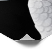 Kongo African Gray Parrot Poster (Ecke)