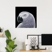 Kongo African Gray Parrot Poster (Heimbüro)