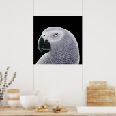 Kongo African Gray Parrot Poster (Küche)