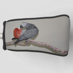 Kongo African Gray Parrot Schwanz Prevue Golf Headcover