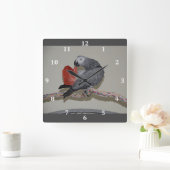 Kongo African Gray Parrot Schwanz Prevue Quadratische Wanduhr (Zuhause)
