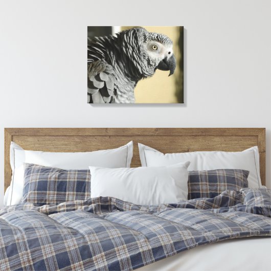 Kongo Afrikanischer Grau Papagei mit Ruffled Feath Leinwanddruck (Insitu (Schlafzimmer))