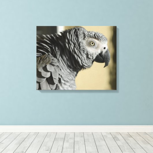 Kongo Afrikanischer Grau Papagei mit Ruffled Feath Leinwanddruck (Insitu (Holzboden))