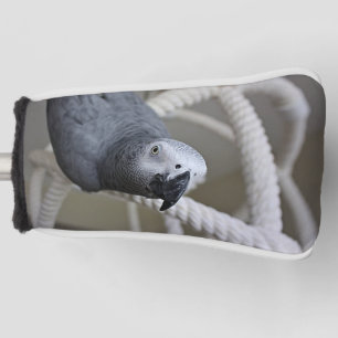 Kongo Afrikanischer Grauer Papagei hat Spaß Golf Headcover