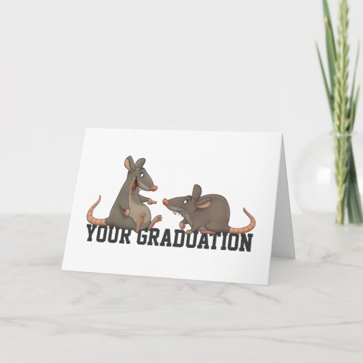 "Kongo Rats!" Karte (Vorderseite)