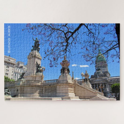 Kongressabgeordnete buenos aires puzzle (Horizontal)
