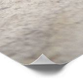 Konica Autorex P Poster (Ecke)