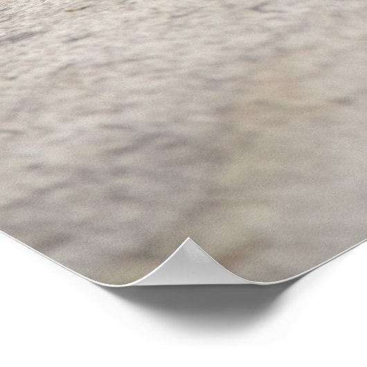 Konica Autorex P Poster (Ecke)