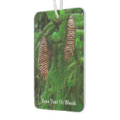 Koniferen und -nähte autolufterfrischer (Links)