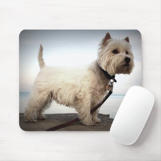 König Barko Mousepad (Mit Mouse)