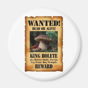 König Bolete - gewollte Tote oder lebendig Magnet