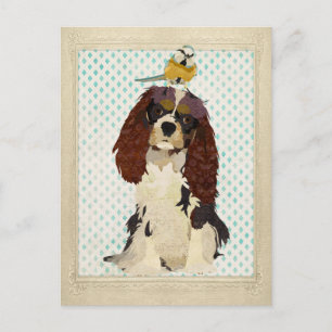 König Cavalier & Kleiner Vogel Postkarte