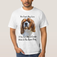 König Charles Cavalier Spaniel Hundegesicht und Lo