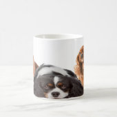 König Charles Cavalier Spaniel Kaffeetasse (Mittel)