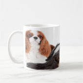 König Charles Cavalier Spaniel Kaffeetasse (Links)