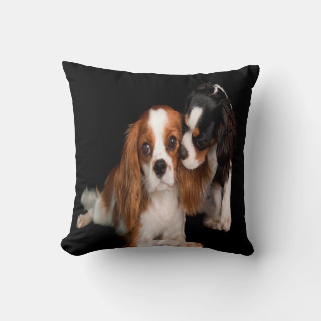 König Charles Cavalier Spaniel Kissen (Vorderseite)