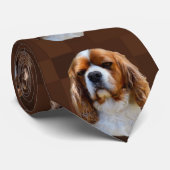 König Charles Cavalier Spaniel, Krawatte (Gerollt)