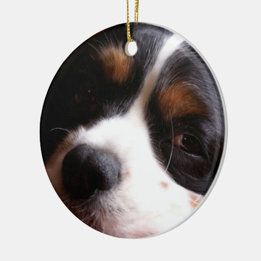 König Charles Cavalier Spaniel Ornament (Links)