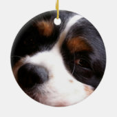 König Charles Cavalier Spaniel Ornament (Hinten)
