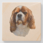 König Charles Cavalier Spaniel, Steinuntersetzer (Vorderseite)