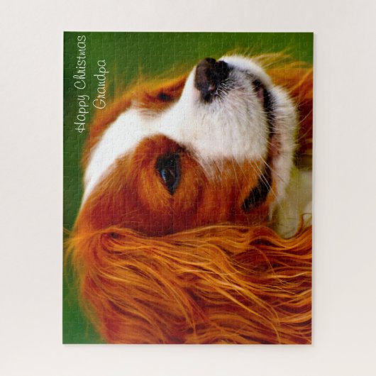 König Charles Spaniel Hund. Puzzle (Vertikal)