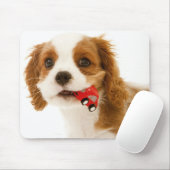 König Charles Spaniel mit rotem Auto in ihrem Mund Mousepad (Mit Mouse)