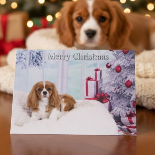 König Charles Spaniel von der Weihnachtsbaumkarte Feiertagskarte