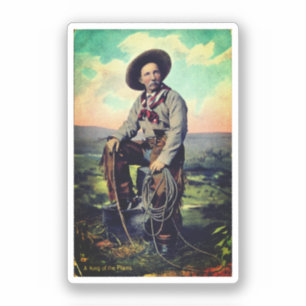 König der Ebenen (um 1907) Aufkleber