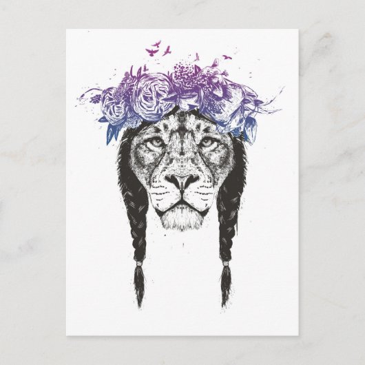 König der Löwen Postkarte (Vorderseite)