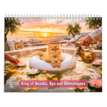 König der Snacks, Spa und Schabernack Katze