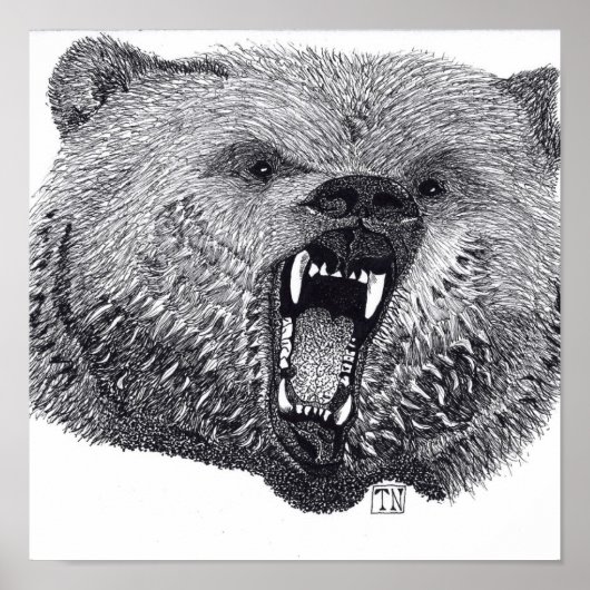 König der Wilden, Grizzlybär Poster. Poster (Vorne)