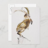 König des Berges 2005 Postkarte (Vorne/Hinten)