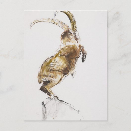 König des Berges 2005 Postkarte (Vorderseite)