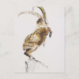 König des Berges 2005 Postkarte