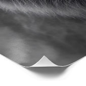 König des Dschungels Poster (Ecke)