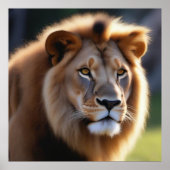 König des Dschungels Poster (Vorne)