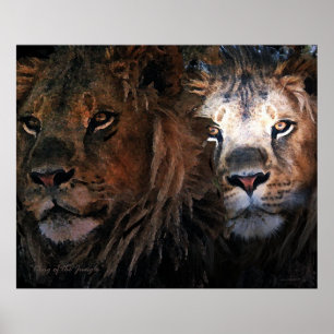 König des Dschungels Poster