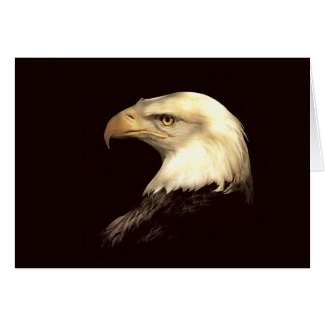 König des Flyers (Vorderseite (Horizontal))