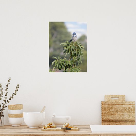 König des Hügels Poster (Küche)