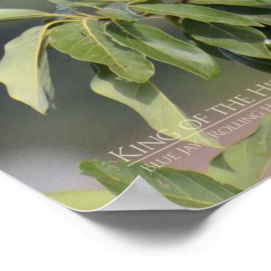 König des Hügels Poster (Ecke)