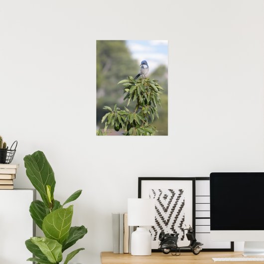 König des Hügels Poster (Heimbüro)