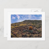 " König des Hügels " Postkarte (Vorne/Hinten)