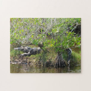 König des Sumpfes - Alligator Jigsaw Puzzle
