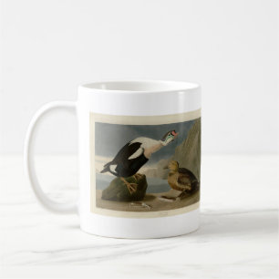 König Ente (König Eider) Audubons Vögel von Amerik Kaffeetasse